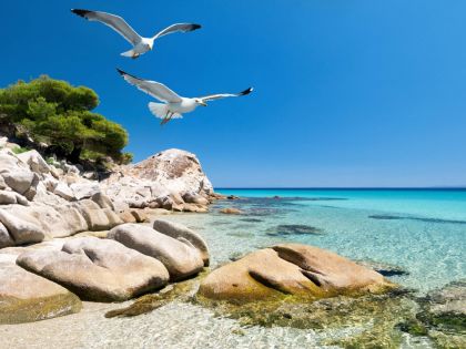 Почивка на п-в Халкидики - Ситония, Гърция със собствен транспорт